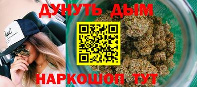 мяу мяу мука Будённовск