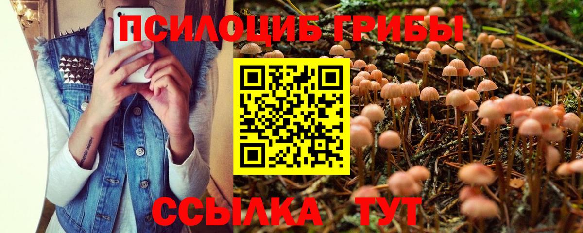 Бугуруслан  Галлюциногенные грибы GOLDEN TEACHER  Вход с VPN 
